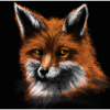 Fuchs im Wald