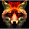 Alter Fuchs