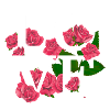 Blumige Liebe zu Rosen