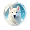 Cute White Shepherd in soap bubble