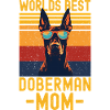 Doberman with sunglasses retro