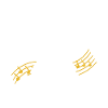 Violin Violinist