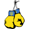 Ukraine Flagge Boxhandschuhe