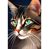 Chat I