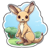 Kangaroo