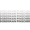 Doberman Pinscher