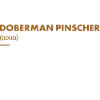 Doberman Pinscher Definition