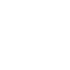 Patch (vector)