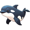 Killer whale