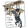 Serré dans un avion