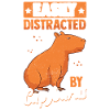 Capybara Animal Capybara Pet