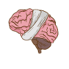 I Broke My Brain