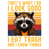 Raccoon with sunglasses
