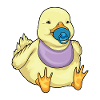 Dossard sucette de canard