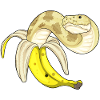 Snake Banane