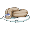 Snake Sleeping Pillow