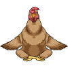 Chicken Yoga Fitness Meditation