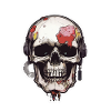 Skulls Skull Skull Skull Bones