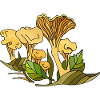 Pilze