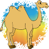 Kamel