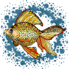 Poisson