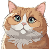 Câlin Chat