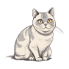 Gros chat