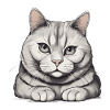 Proud Cat