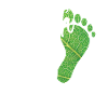 Earth Day Everyday Environmental Awareness