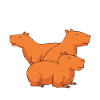 Capybaras capybara pet