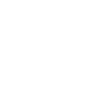 Bat Dragon Animal
