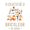 Certifié bricoleur de génie 3