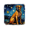 Boxer Van gogh starry night