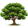 Deciduous tree - nature conservation
