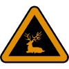 Deer danger, Hunter attention