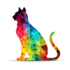 Pacho the multicolored cat