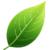 green leaf - nature conservation