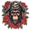 Pirate Monkey