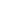 Senior Developer