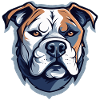 American Staffordshire Terrier