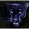 Panther