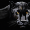 Schwarzer Panther