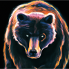 L’ours est en liberté.