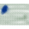 Gitter