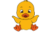 Funny duck Cute ducks