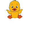 Funny duck Cute ducks
