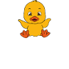 Funny duck Cute ducks