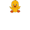 Funny duck Cute ducks