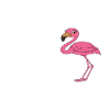 Funny flamingo