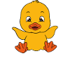 Funny duck Cute ducks